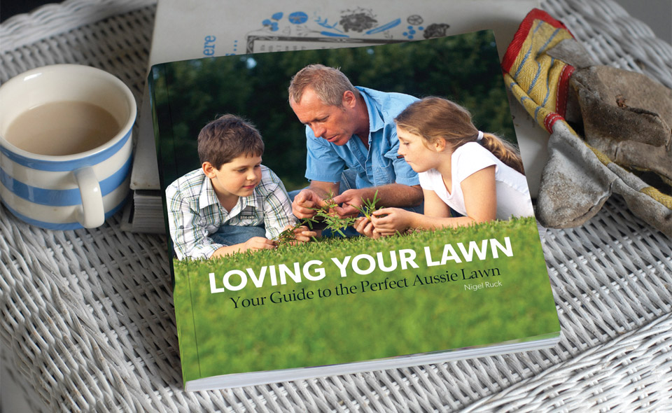 Love Your Lawn