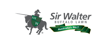 Sir walter