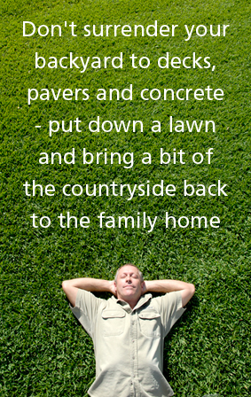 Embrace your lawn with Loveyourlawn.com.au