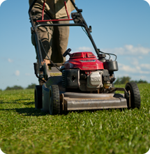 Sir Walter Love Your Lawn Lawn care tips