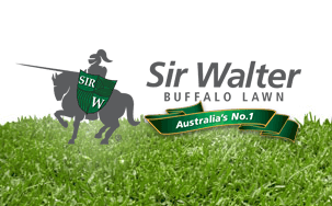 Sir Walter Premium Lawn Turf - Australia's favourite lawn turf.